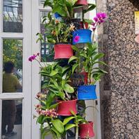 NHATENLUA.COM - CHO THUÊ NHÀ MẶT TIỀN KHU TÊN LỬA ĐƯỜNG SỐ 22 BÌNH TRỊ ĐÔNG BÌNH TÂN