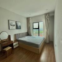 Cho thuê căn hộ cao cấp The Zen Gamuda  tại phường Hoàng Mai, Hà Nội