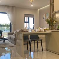 Sở hữu căn hộ Studio 33m² tại trung tâm TP Mới Bình Dương