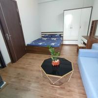 Cho thuê CCMN Full đồ cực đẹp thoáng tại 219 Nguyễn Ngọc Vũ, Cầu Giấy