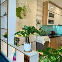 Bán nhanh căn Studio đầy đủ nội thất tầng trung view thích hợp đầu tư, giá chỉ 2.35 tỷ tại OCP