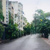 MẶT TIỀN ĐƯỜNG 6M – KINH DOANH SẦM UẤT – GẦN CHỢ TÂN BÌNH – 4 TẦNG KIÊN CỐ - GIÁ 10.79 TỶ.