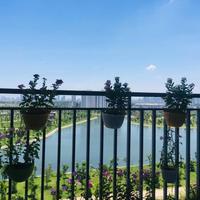 Bán căn hộ 65m2, tầng 11, View hồ cực thoáng mát chung cư Thanh Hà.