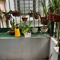 ⚡️Không Còn Căn Thứ 2: LÔ GÓC - 5M RA Ô TÔ - GIÁ ĐẦU 5 . Bán nhà THANH XUÂN.