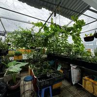 Cư xá Đô Thành - CHDV 8 phòng - hẻm xe hơi - 5 tầng BTCT - 40.5/43m2 - 9.x tỷ