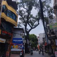 SỐC! Đất MẶT PHỐ CỔ NHUẾ - cực phẩm KINH DOANH - CHỈ 220 TRIỆU/M²