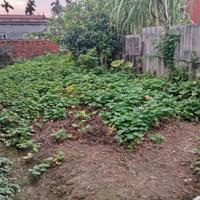 Chính chủ bán nhà đất gần KCN Tiên Thanh, Hải Phòng (Không qua môi giới)