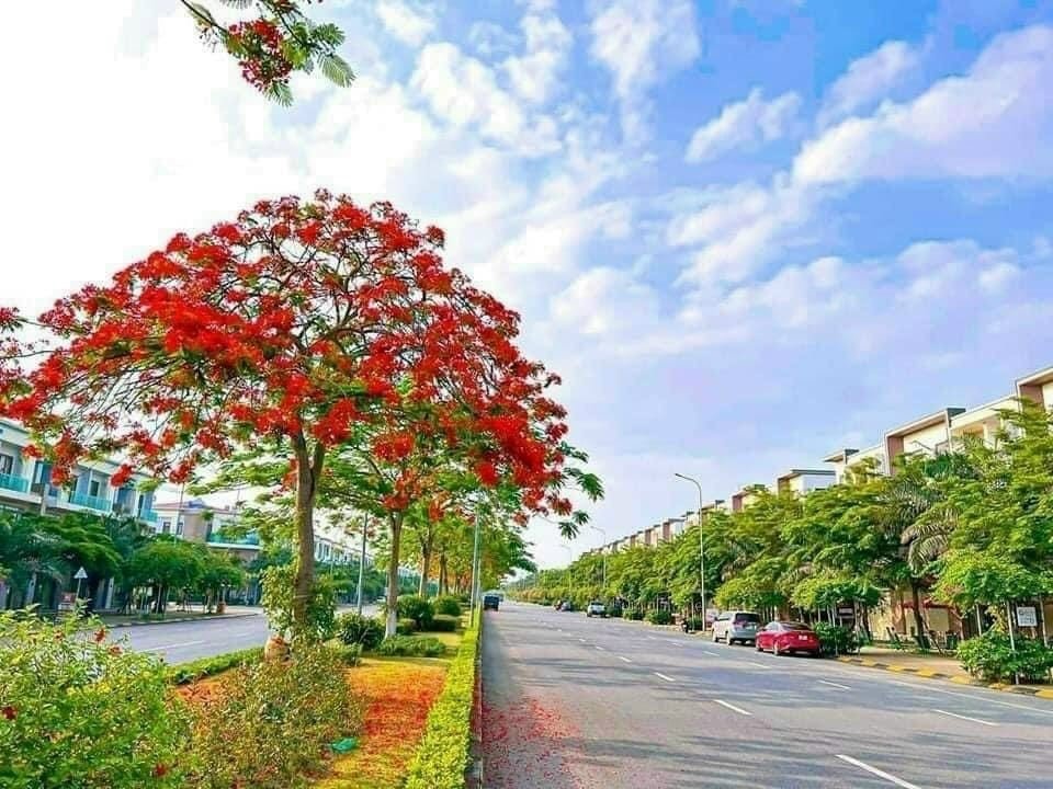 Cho thuê mặt bằng kinh doanh, văn phòng, mặt đường lớn sầm uất khu đô thị VSIP Từ Sơn