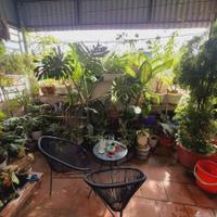 BÁN NHÀ VỊ TRÍ VÀNG HOÀNG MAI – NGÕ RỘNG – GẦN Ô TÔ – TIỆN ÍCH NGẬP TRÀN – SỔ ĐỎ SẴN