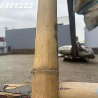 Mặt đường Thiên Lôi - Cách AEON MALL 2 phút đi bộ  - 100m Ngang 5m