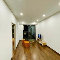 Cho thuê căn hộ 67m2 2PN 2VS Toà D Masteri Vinhome Smart City