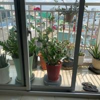 Bán căn hộ chung cư 3 phòng ngủ gần công viên văn hóa Đầm Sen Tân Phú