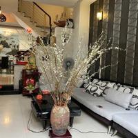 Nhà đẹp 4 tầng HXH Quang Trung P11– Gò Vấp, 67m², cho thuê 144 triệu/năm, 7xT.ỷ TL!