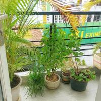 NHÀ BÁN GẤP – HXH SÁT LÝ THƯỜNG KIỆT – GIÁP QUẬN 10 – 4 TẦNG – DÒNG TIỀN ~200TR/NĂM