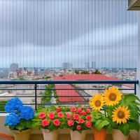 Chung cư cao cấp Thang máy Trường Sa – QUẬN BÌNH THẠNH – 6.6 x 8 m – 52 m2 – 3.28 tỷ