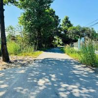 Bán nhà gỗ xã Tân Thông Hội tdt 480m2 ( 300m2 thổ) 2pn 1wc giá 4,2 tỷ