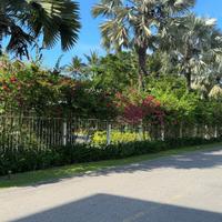 TUYỆT PHẨM NHÀ PHỐ BIỂN ĐÀ NẴNG - MẶT TIỀN TÂN LƯU - NGANG 6M BỀ THẾ - FULL NỘI THẤT GỖ CAO CẤP