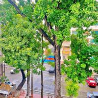 NHÀ ĐẸP PHÂN LÔ Ô TÔ ĐỖ CỬA -KINH DOANH Đường Láng 37m2 X 5 Tầng15.8 Tỷ Đống Đa Hà Nội.