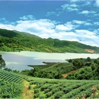 NGHỈ DƯỠNG TRONG LÒNG SUN VALLEY BẢO LỘC LÂM ĐỒNG