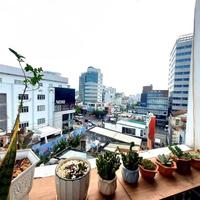 Bán căn hộ dịch vụ 24 phòng – thang máy – hầm – gần Nguyễn Văn Trỗi – Phú Nhuận.