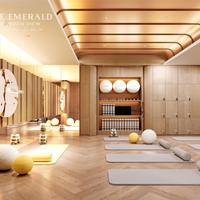 The Emerald Garden View – tài sản xanh chuẩn Nhật, giá chỉ 35tr/m², tọa lạc vị trí đắt giá Thuận An