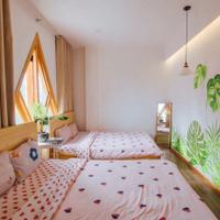 Cho thuê homestay Thông Thiên Học - Phường Xuân Hương, Đà Lạt