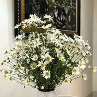 Bán nhà mặt tiền Ngã 7 trung tâm Nha Trang – đường Núi Một – 3 tầng 1 tum – giá 10,5 tỷ