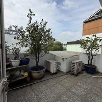 Nhà Đường Quang Trung Quận Gò Vấp Phường 11 Cũ.