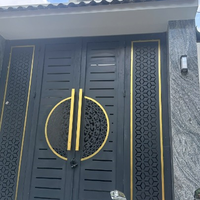 Mặt tiền Dã Tượng P.Chánh Hưng (P10Q8)