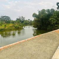 ĐẤT VIEW HỒ ĐỒNG TRẠNG – HÀNG HIẾM TRUNG TÂM CỔ ĐÔNG/ FULL THỔ CƯ - GIÁ TỐT.