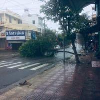 Cho thuê nhà 214 Trần Quý Cáp Ninh Hòa, Khánh Hòa