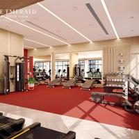 THE EMERALD GARDEN VIEW mua nhà đầu tiên không áp lực chỉ 7 triệu/tháng