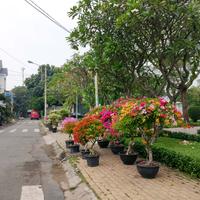 NHÀ ĐẸP KHU VIP BÔNG SAO – 4 TẦNG BTCT – HXH 6M – NỞ HẬU TÀI LỘC – CHỈ 9 TỶ