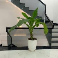 Nhà 1T2L, 80m² , 3PN - 3WC Gần KCN MP 3, Thới Hòa, Bến Cát