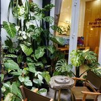 PHÚ NHUẬN nhà 3 TẦNG BTCT - 5 PHÚT QUA Q1- 50m RA MẶT TIỀN PHAN ĐÌNH PHÙNG - 9,850 TỶ TL