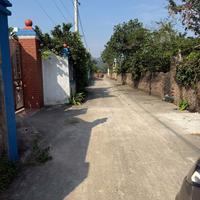 GIAO BÁN ĐẤT THỔ CƯ 118m² – MẶT TIỀN 6M – HƯỚNG ĐÔNG BẮC – Ô TÔ VÀO TẬN ĐẤT