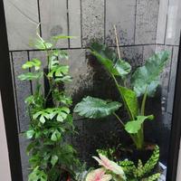 Bán nhà tặng NT vào ở ngay HXH Phan Huy Ích ngang 4m 56m2 gần Emart chỉ 5.8 tỷ.