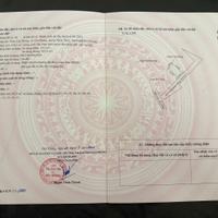 2 lô Tân Phong – Kiến Thụy  Giá hiếm 6xx triệu/lô  Phù hợp đầu tư khu vực  ZALO 0567 222 555