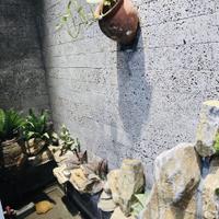 CHỦ GIẢM SÂU 1,3 TỶ – PHÂN LÔ – Ô TÔ - THANG MÁY - PCCC ĐẦY ĐỦ – KINH DOANH & ĐẦU TƯ ĐỈNH