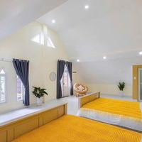 Cho thuê villa 9 phòng ngủ đường Trịnh Hoài Đức phường 11 Đà Lạt giá 25 triệu