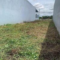 Bán đất thổ cư mặt tiền tỉnh lộ 835D , xã Phước Vân dt 191m2 giá 2,3 tỷ