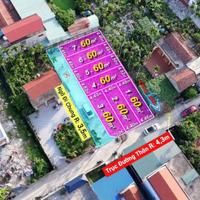 BÁN ĐẤT PHÂN LÔ PHỤC LỄ – THUỶ NGUYÊN, HẢI PHÒNG