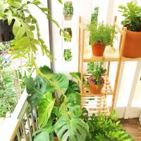 ‼️ Thích Quảng Đức Phú Nhuận – Hẻm đẹp yên tĩnh – 34m2 nở hậu – chỉ hơn 5 tỷ