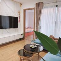 Bán căn hộ 2PN 75m² chung cư Amber Riverside 622 Minh Khai thông với Times City