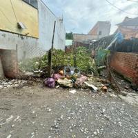 Bán đất thổ cư 1/ đường 110 , xã Tân Thạnh Đông dt 103m2 giá 1,95 tỷ