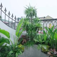 BÁN NHÀ #CHÍNH #CHỦ- TRUNG TÂM #CẦU #GIẤY- GIÁ ĐẸP NHẤT- TẶNG NỘI THẤT- THANG MÁY-5 TẦNG _49M2- Ô