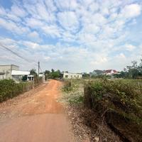 bán đất xã minh thannhj, dầu tiếng, bình dương