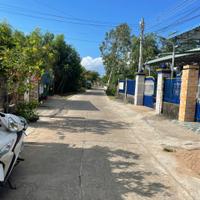 Bán 5m x 35m đất Hẻm Nguyễn Du, Tân Phước, LaGi giá siêu rẻ 1.05 tỷ