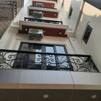 Bán nhà mặt phố Nhân Hòa, Vũ Trọng Phụng