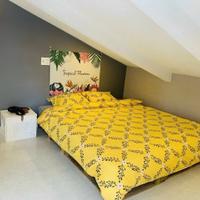 Bán nhà Srxd đường Thiên Thành p4 Đà Lạt giá 4.8 tỷ